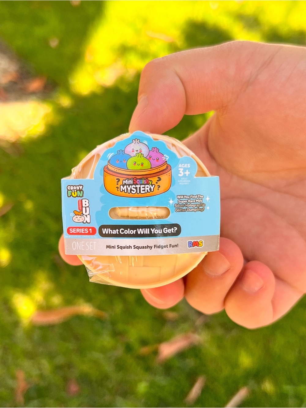 Authentic RMS Mini Dumpling Series 1